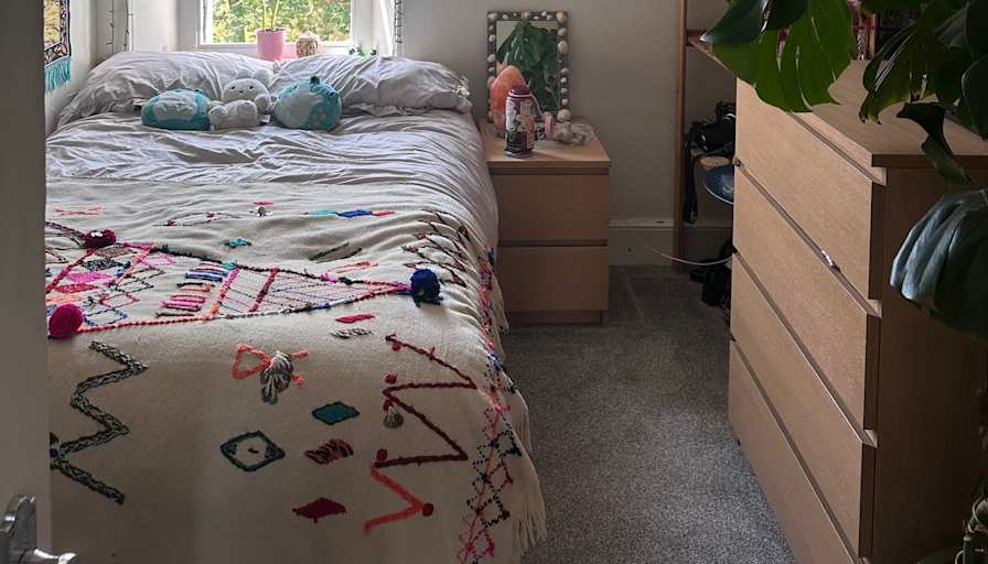 Lucy's room