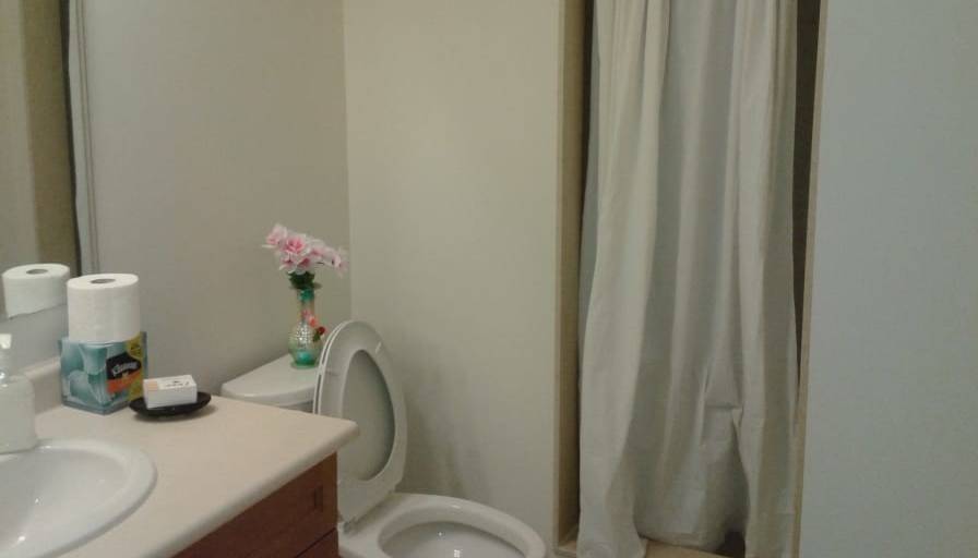 Shaheen's room