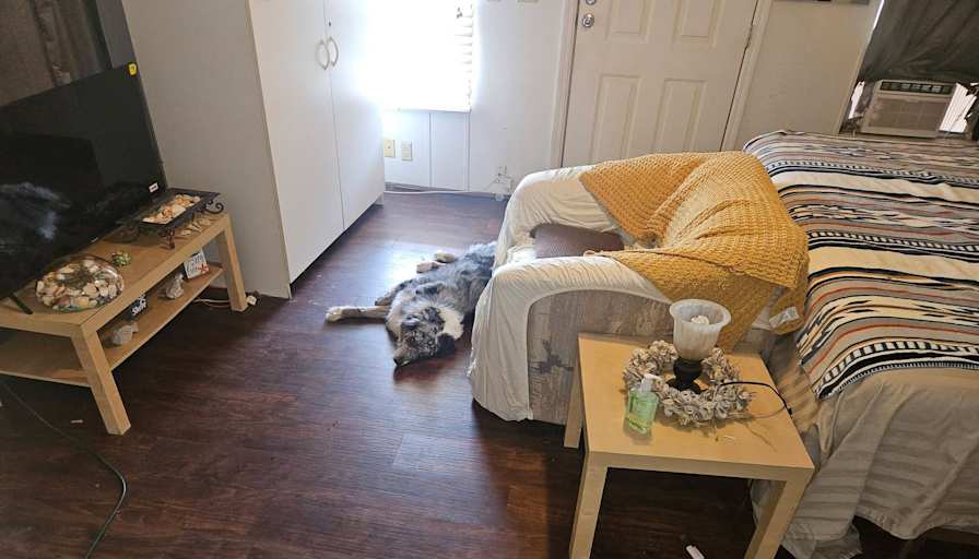 Angelina's room