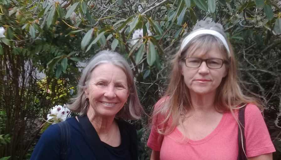 Furnished room in a house · Lewis Street, Glenview, Waikato 3206-1