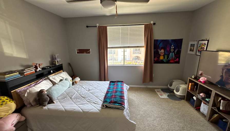 Alicia's room