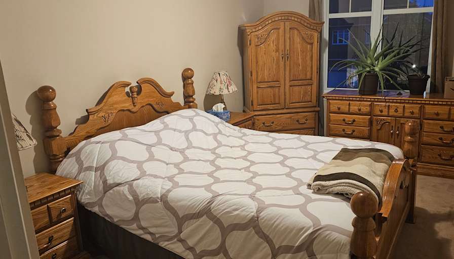 Dino's room