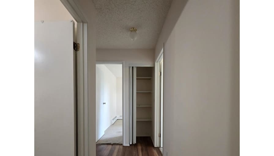 Todd's room