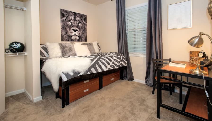 Michael Aguilar Pizano's room