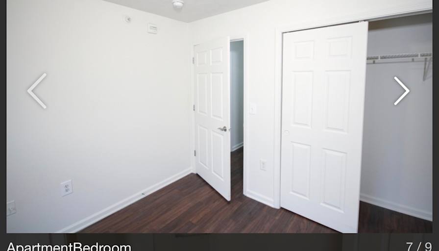 Harp's room