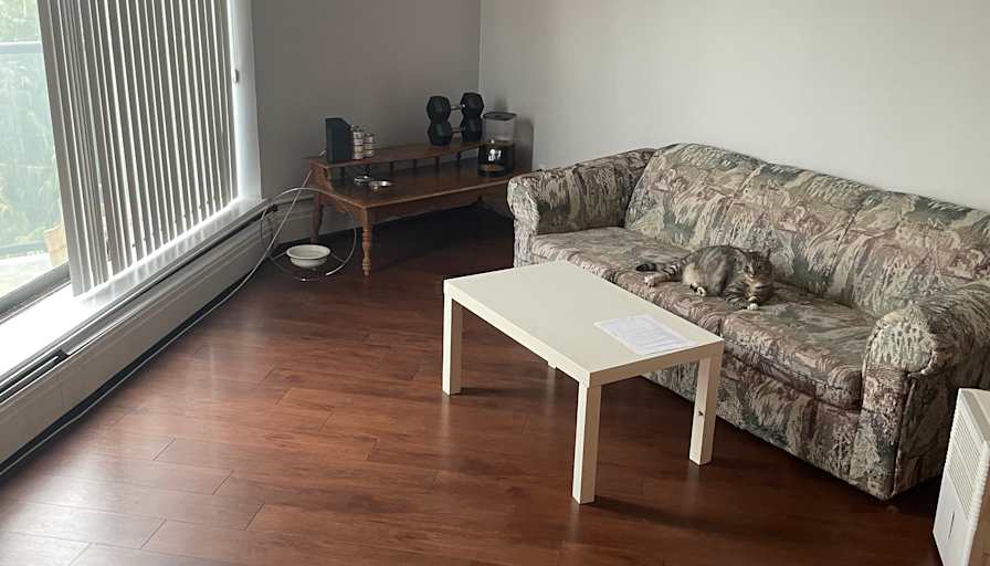 Brock's room