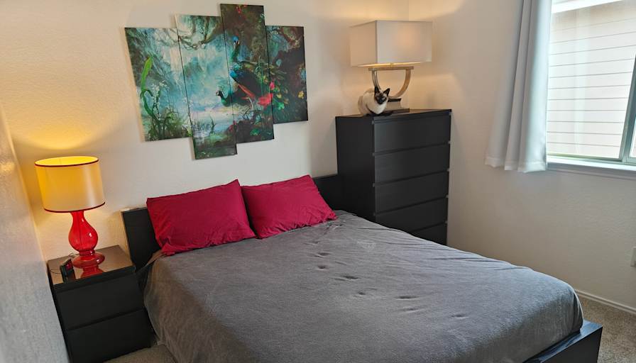 Alan's room