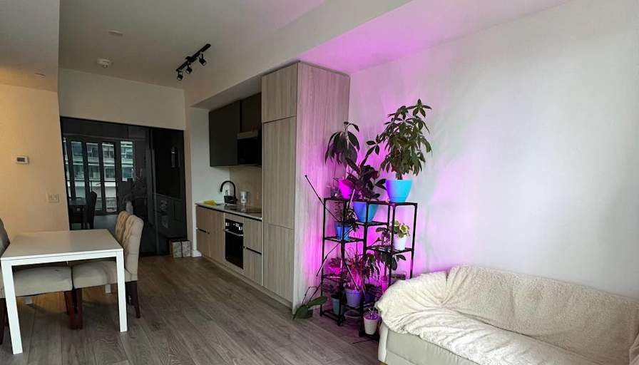 Kseniia's room