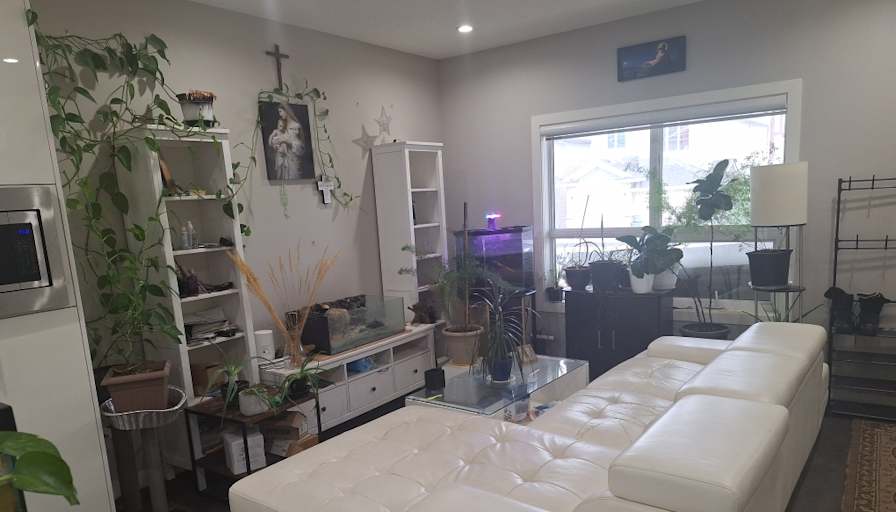 Sandra ann Semotiuk's room