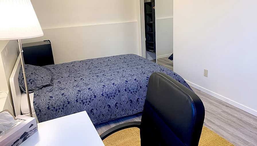 Shirin's room