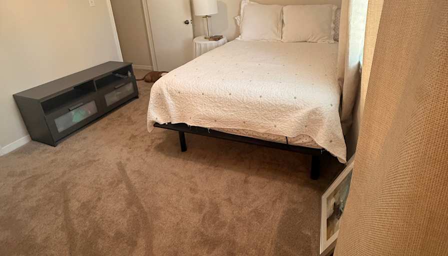 Sofia's room