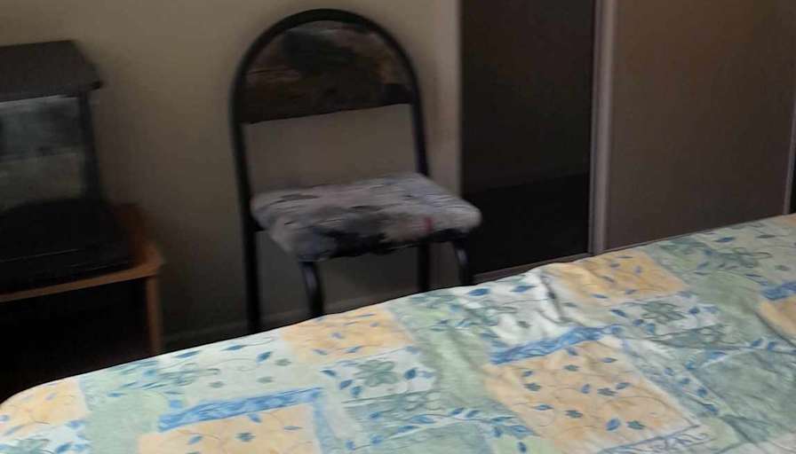 Milena's room