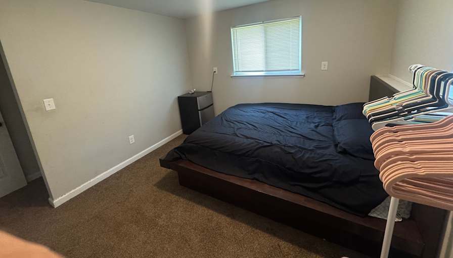 Alison's room