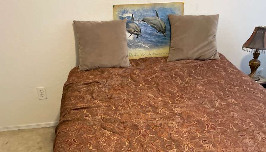 kiyoumarceFaridian's room