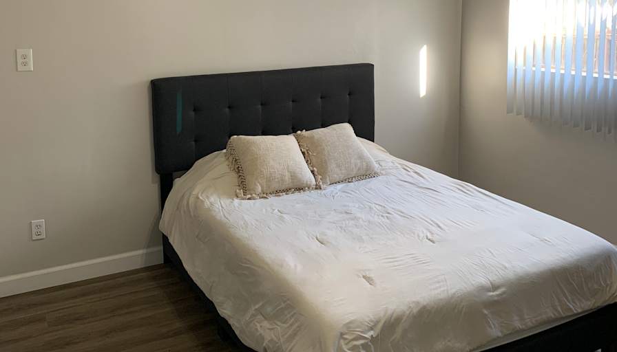 Lily's room