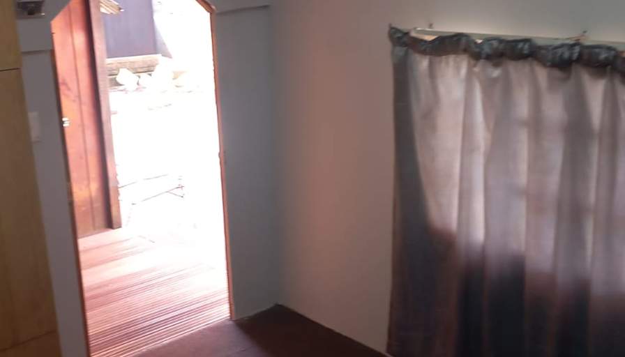 Willows on Bartlett's room
