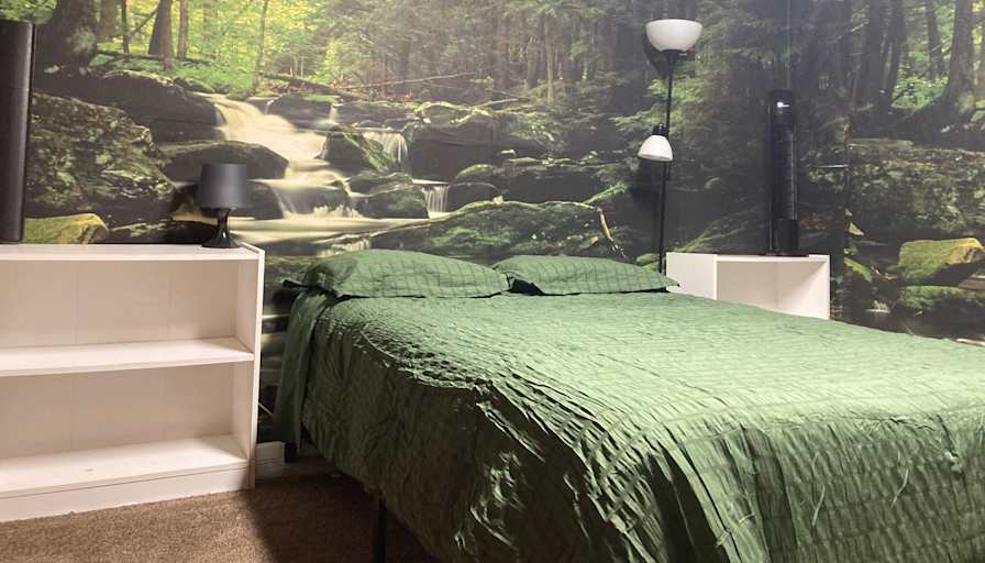 Veronica's room