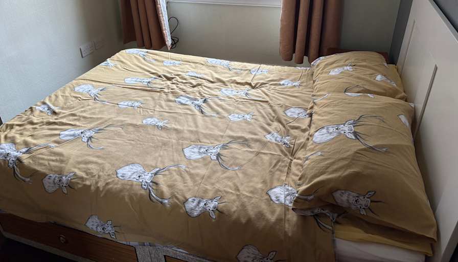 Theresa Geare's room