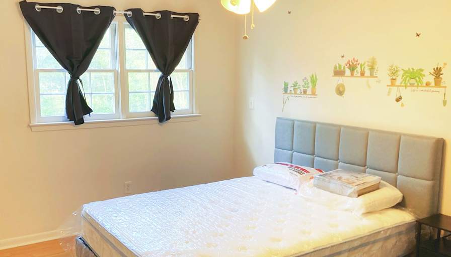 David's room