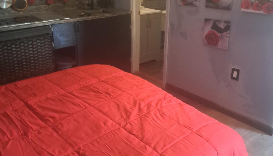 Roy's room