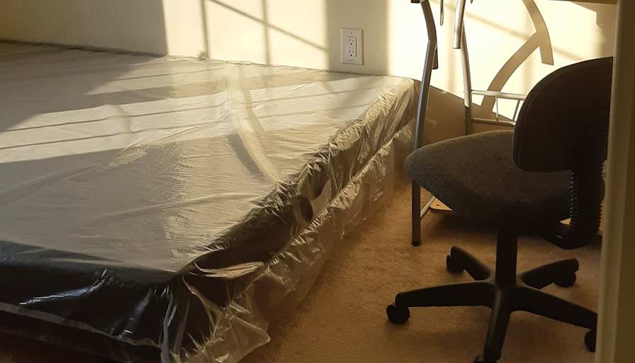 Shaheen's room
