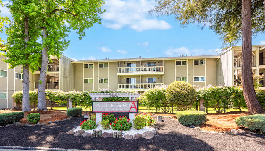 Allegro Apartments's room