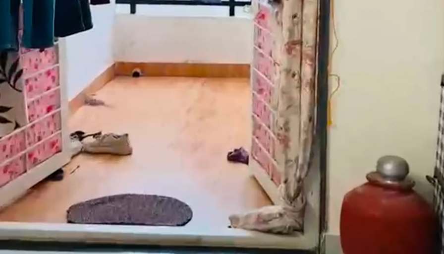 Anjali's room