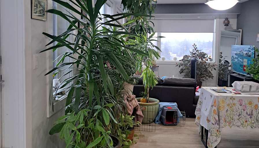 South Edmonton's room