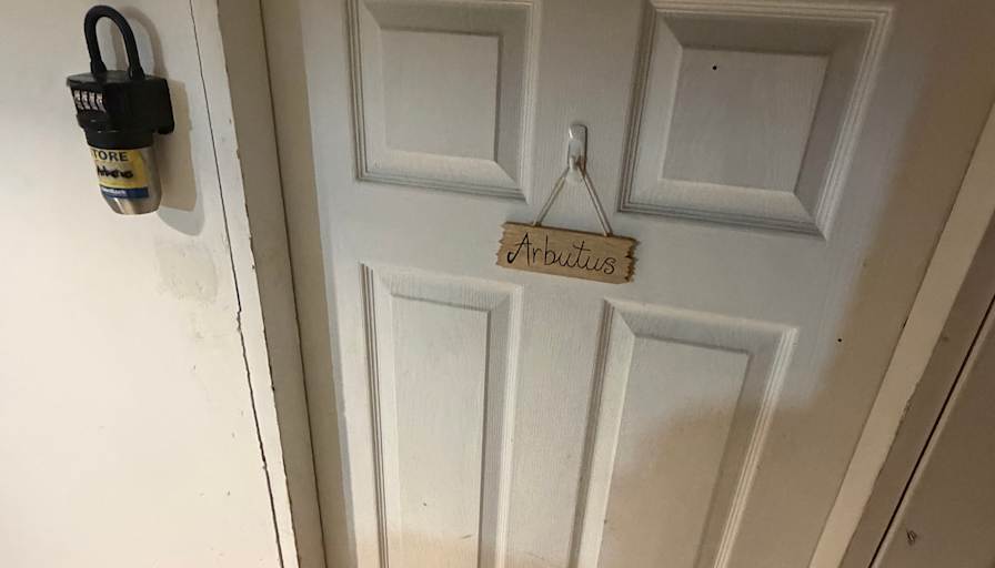 Todd's room