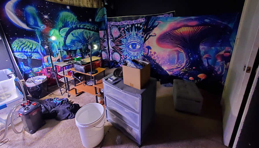 JAY's room