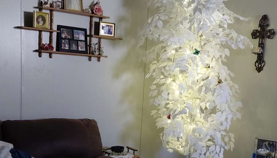 Tamara Brown's room