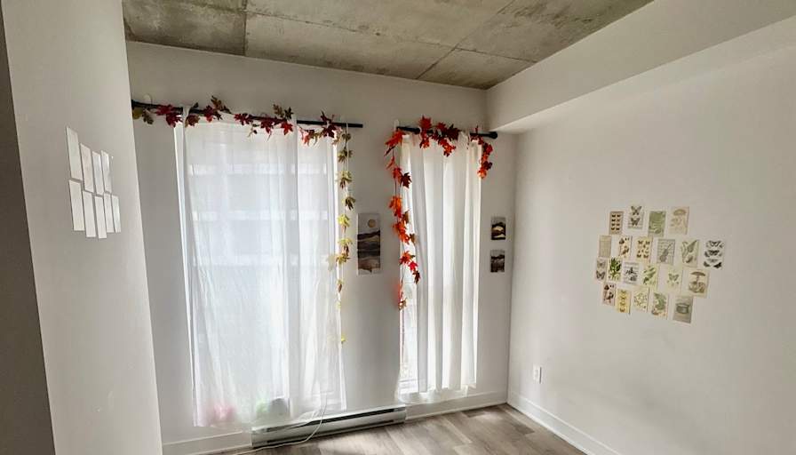 Javiera Navarro's room