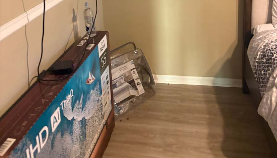 Errol's room