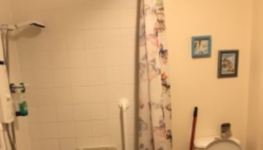 Sue's room