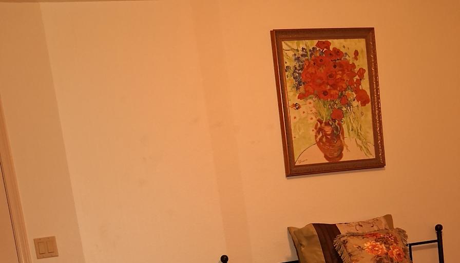 Butterfli Thomas's room