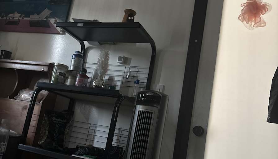 Mohamed's room