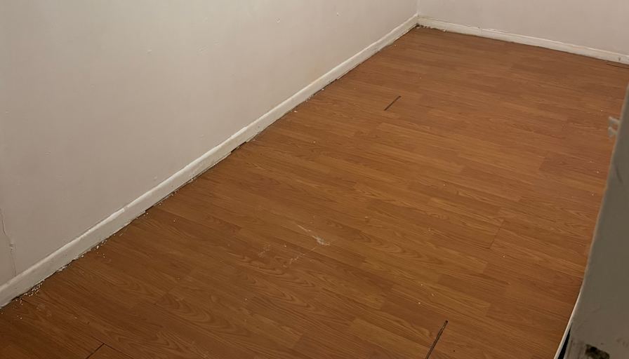Abanoub Basta's room