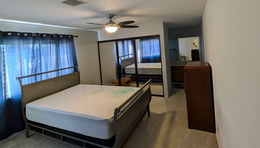 Shirley D's room