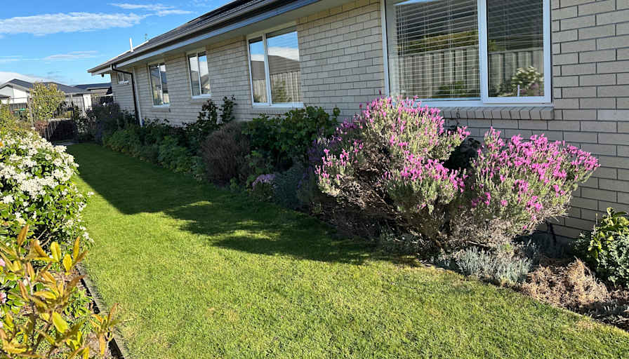 Lavender Rose Retreat's room