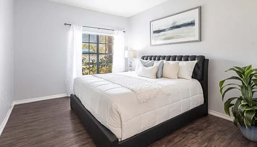 Colleen's room