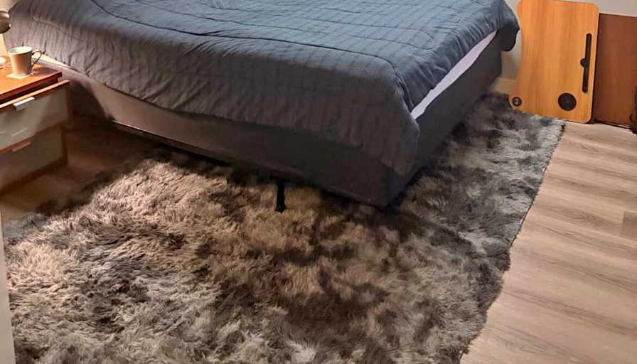 Shehrin's room