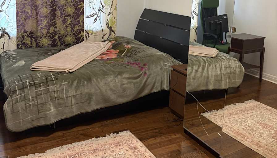 Fariba Hakimi's room