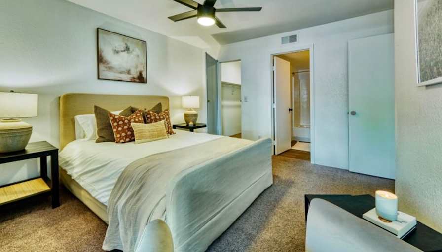 Mary's room