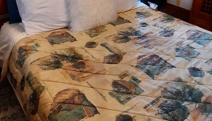 Evie's room