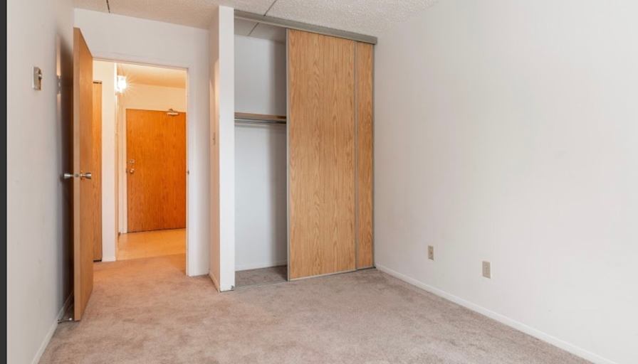 Tabby's room