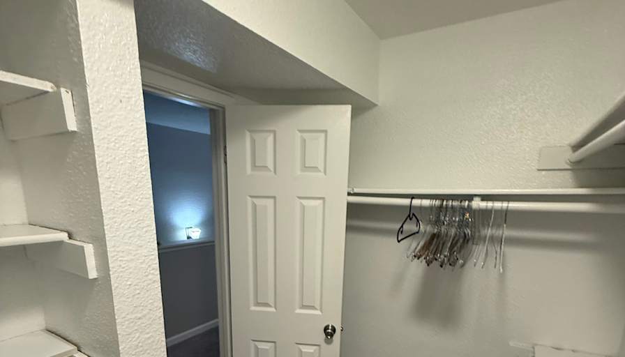 Elianna's room