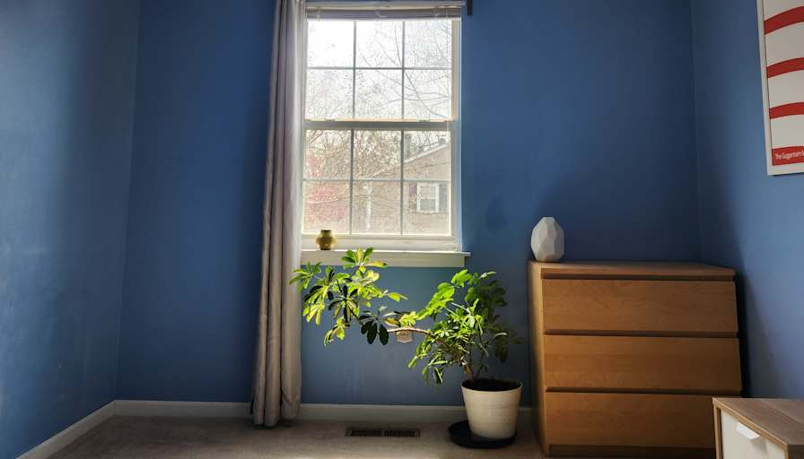 Jay's room