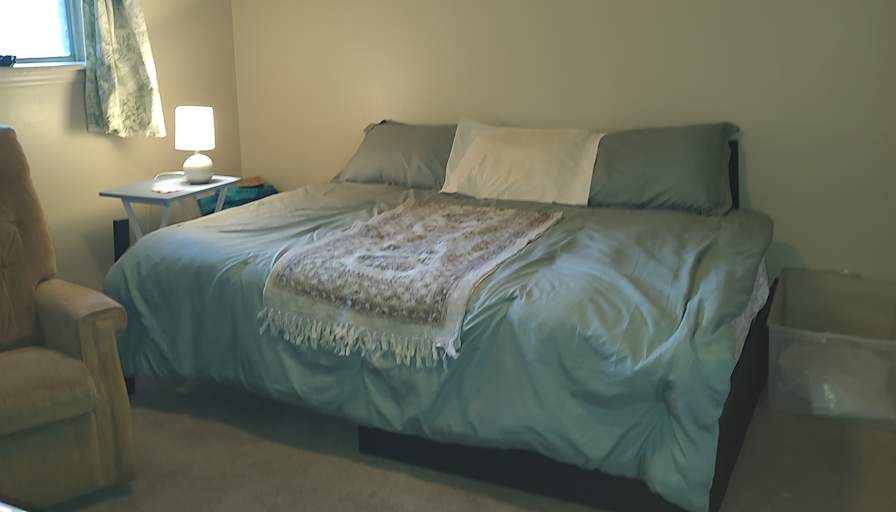 shelli's room