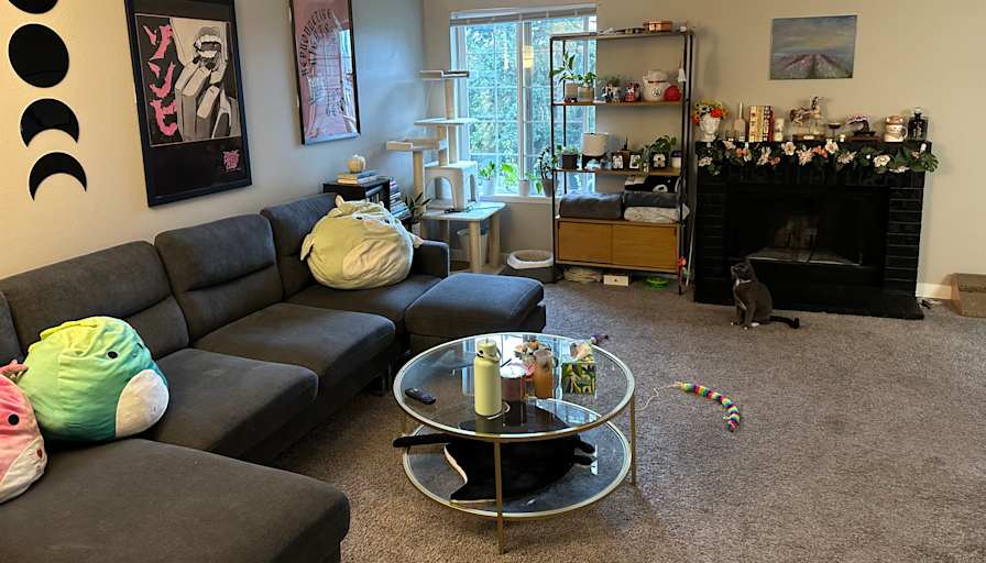 Emily's room