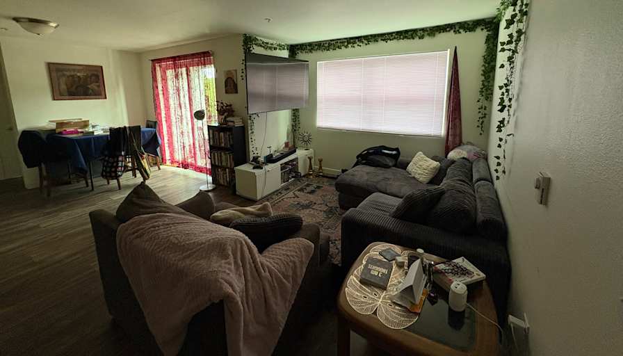 Bri's room